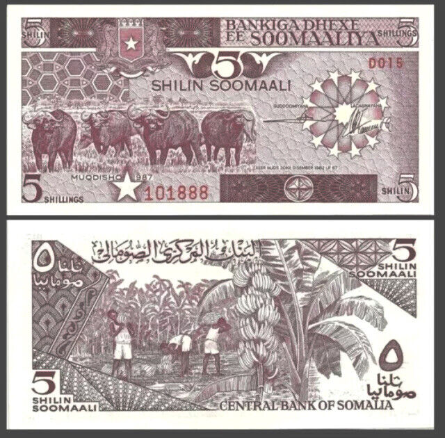 Somalia 5 Shillings, 1986, P-31, Unc World Currency